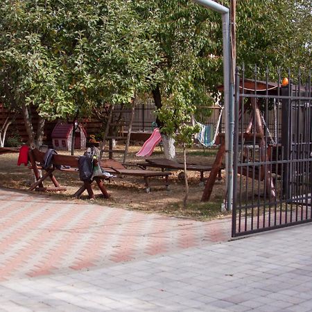 Sport Hostel Cluj Dış mekan fotoğraf