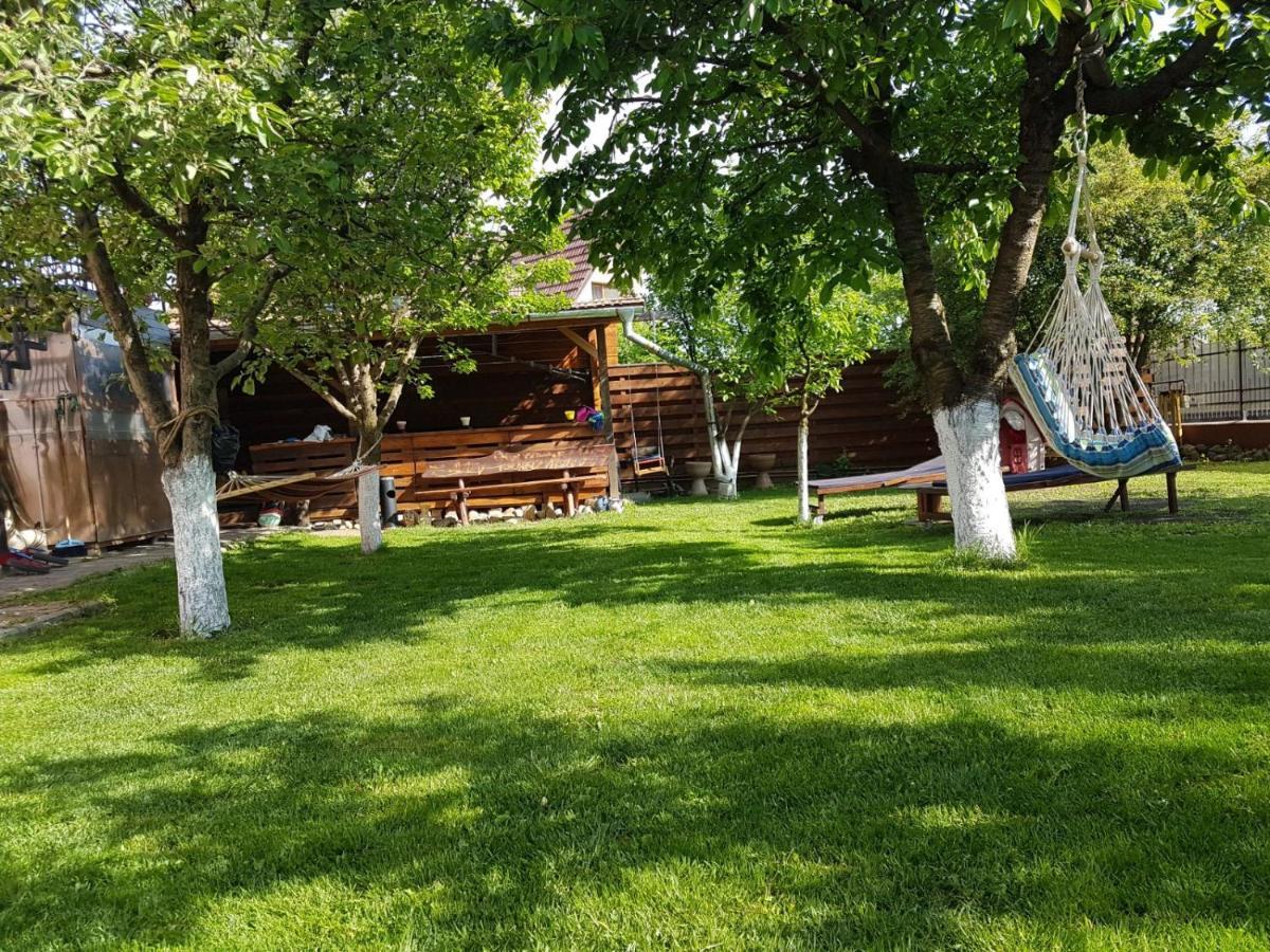 Sport Hostel Cluj Dış mekan fotoğraf