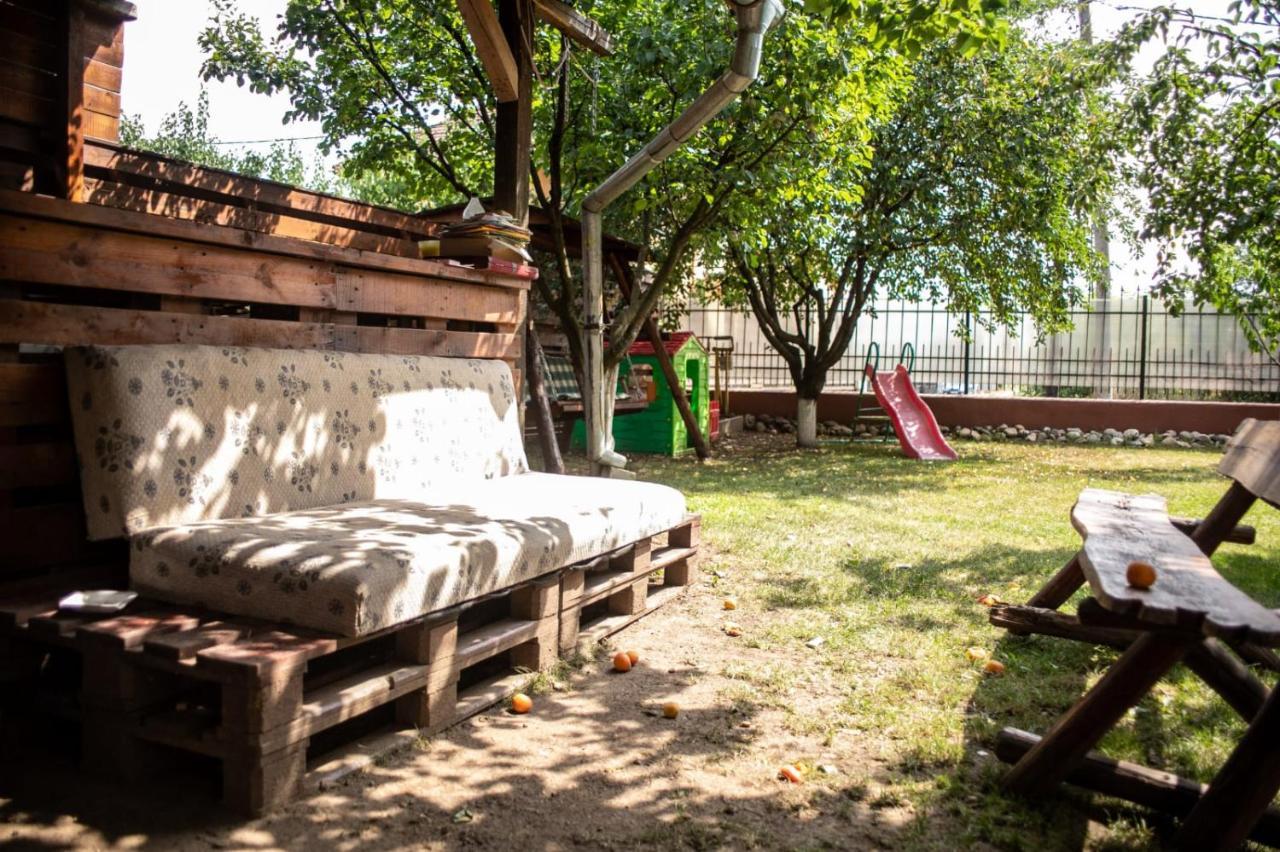 Sport Hostel Cluj Dış mekan fotoğraf