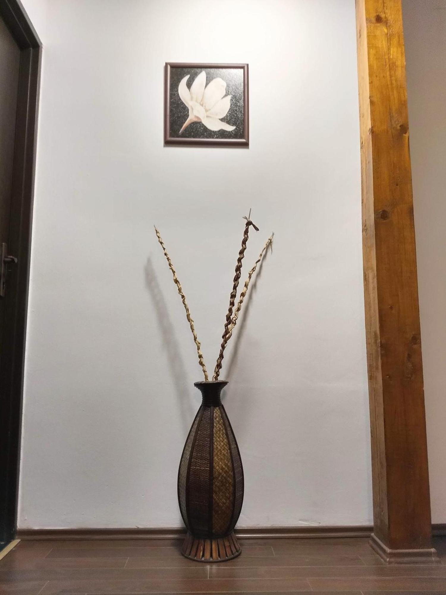 Sport Hostel Cluj Dış mekan fotoğraf