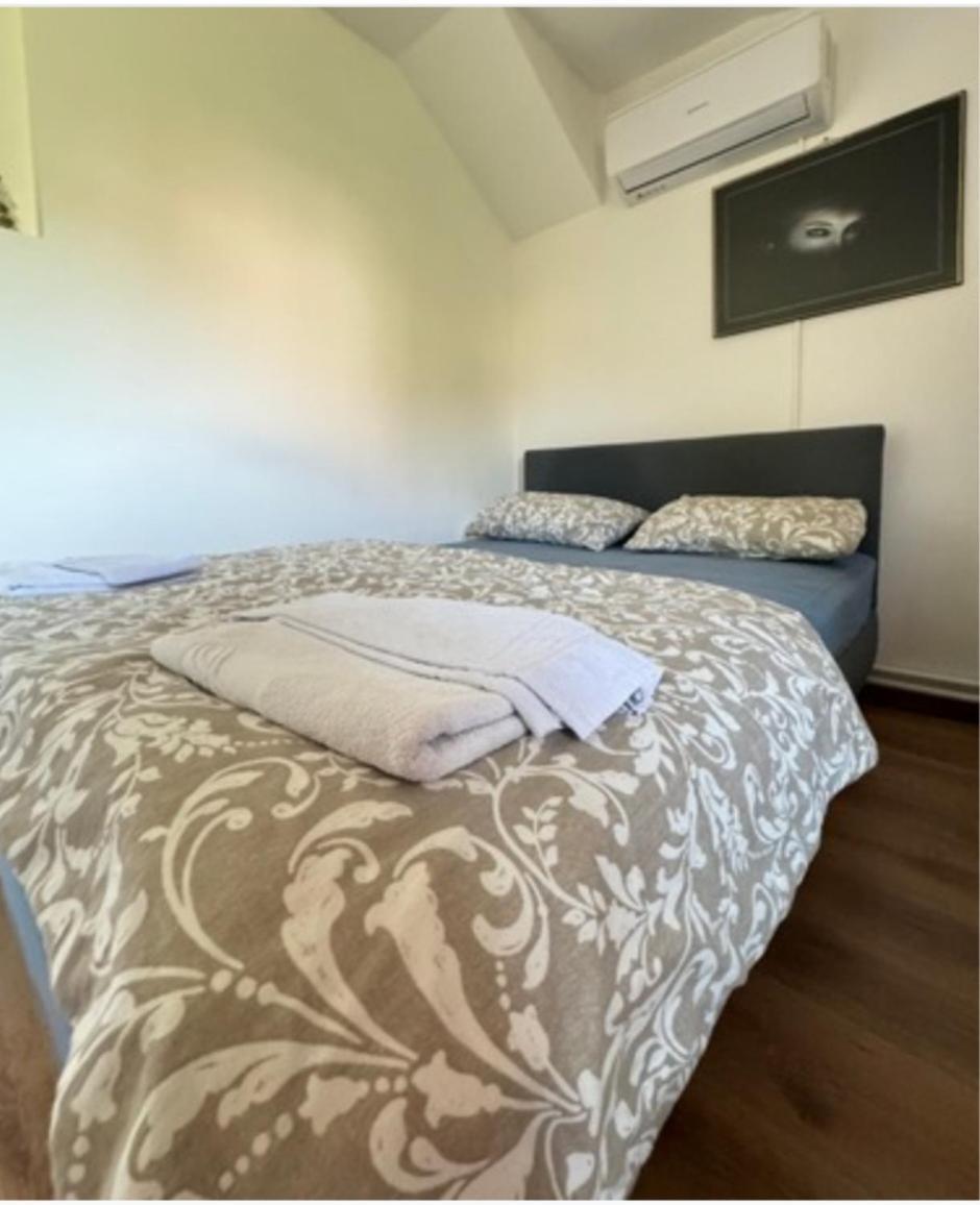 Sport Hostel Cluj Dış mekan fotoğraf
